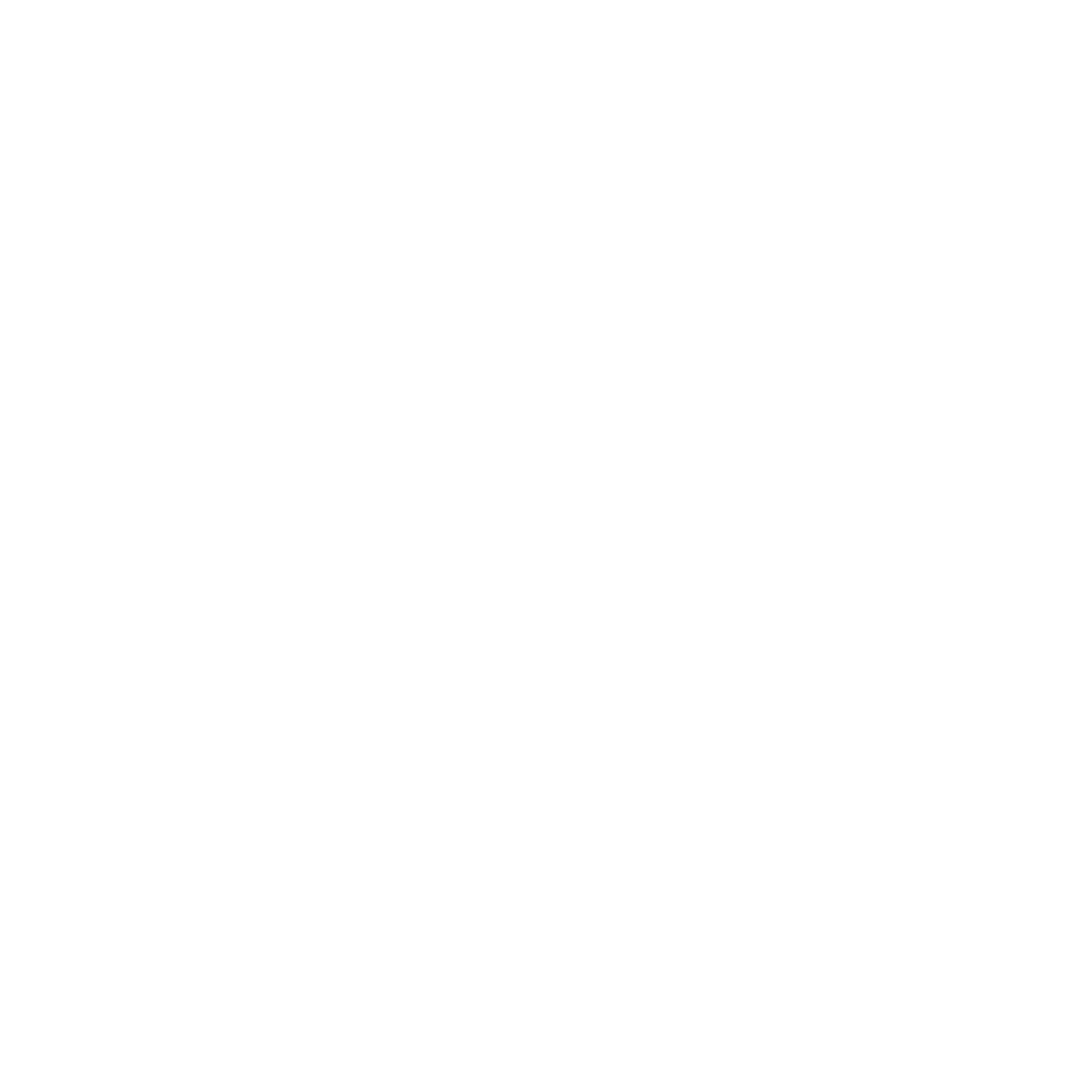 Google Partner Logo