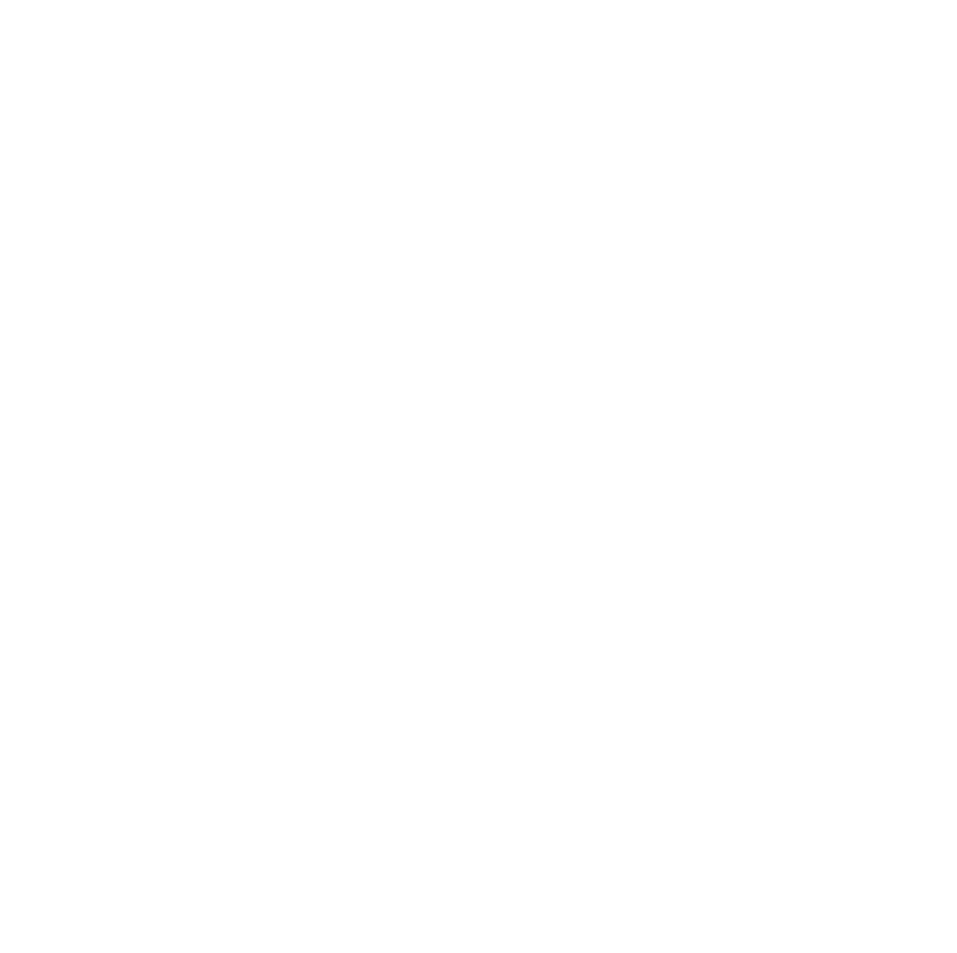 Award SME 100 Logo